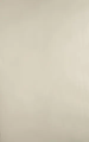 Farrow & Ball Wallpaper Plains BR 3403