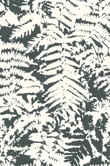 Little Greene Wallpaper Fern Off Black