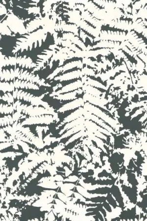 Little Greene Wallpaper Fern Off Black