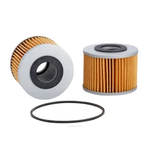 Ryco Oil Filter  R2070P