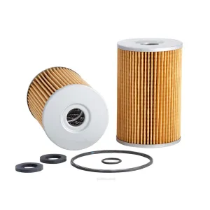 Ryco Oil Filter  R2293P