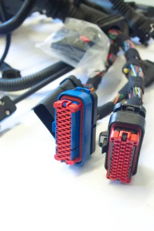 SCS Delta Ford 2.3 EcoBoost Engine Management Wiring Loom Kit