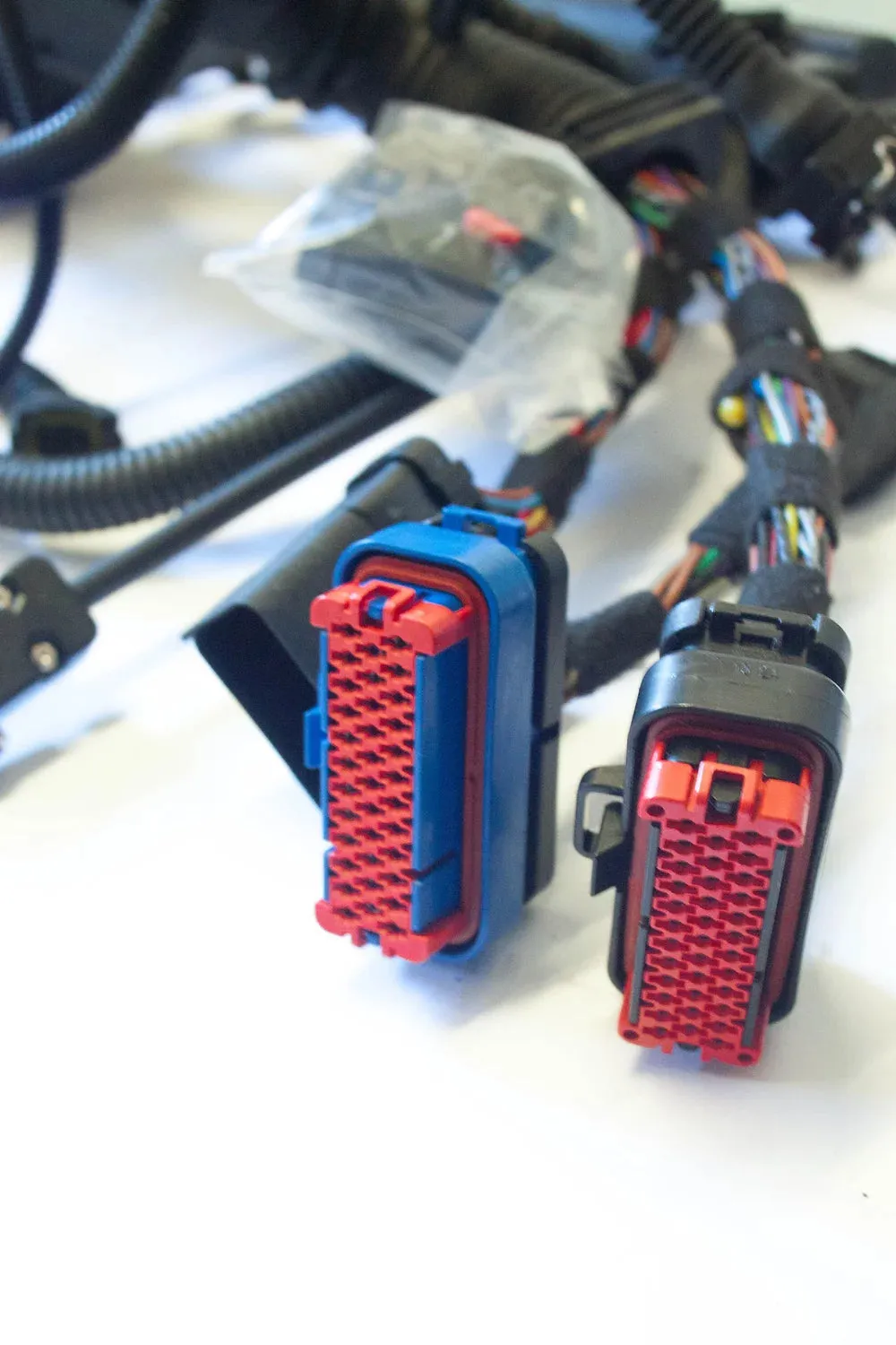 SCS Delta Ford 2.3 EcoBoost Engine Management Wiring Loom Kit