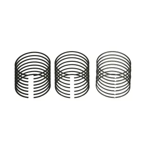 Sealed Power Moly Piston Ring Set - LS 6.2L 4.075 Bore