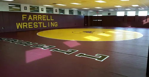 Wrestling Mats by Dollamur