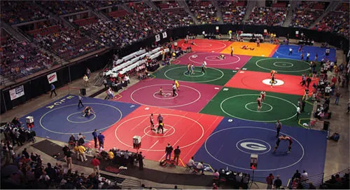 Wrestling Mats by Dollamur