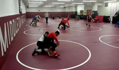 Wrestling Mats by Dollamur
